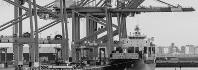 Page image for Trump grants 90 day tariff reprieve